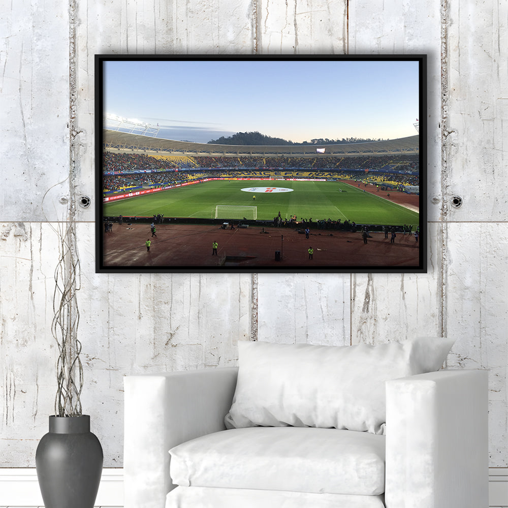 Estadio Ester Roa, Stadium Canvas, Sport Art, Framed Canvas Print Wall Art, Floating Frame