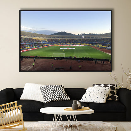 Estadio Ester Roa, Stadium Canvas, Sport Art, Framed Canvas Print Wall Art, Floating Frame