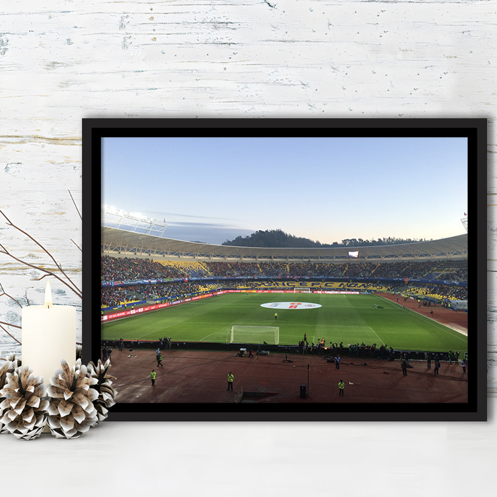 Estadio Ester Roa, Stadium Canvas, Sport Art, Framed Canvas Print Wall Art, Floating Frame
