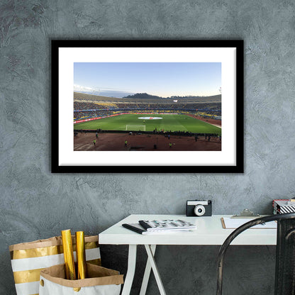 Estadio Ester Roa, Stadium Canvas, Sport Art, Gift for him, White Border Framed Art Print Wall Decor