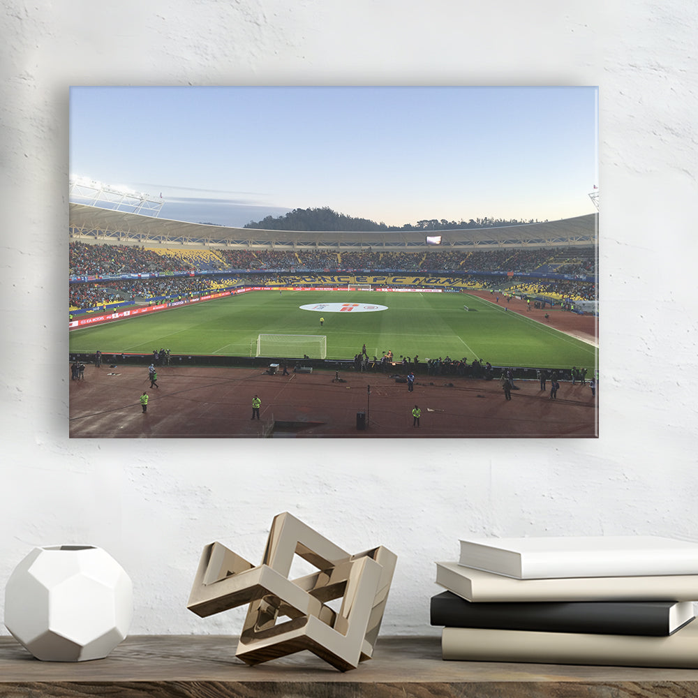 Estadio Ester Roa, Stadium Canvas, Sport Art, Gift for him, Man Cave Decor, Art Print, Canvas Print Wall Art