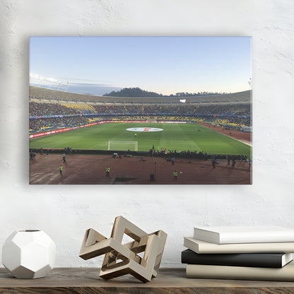 Estadio Ester Roa, Stadium Canvas, Sport Art, Gift for him, Man Cave Decor, Art Print, Canvas Print Wall Art