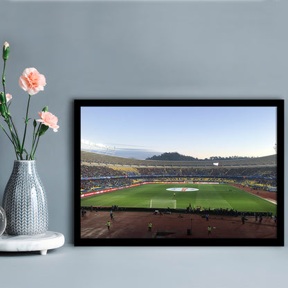 Estadio Ester Roa, Stadium Canvas, Sport Art, Gift for him, Framed Art Print Wall Decor, Picture Framed