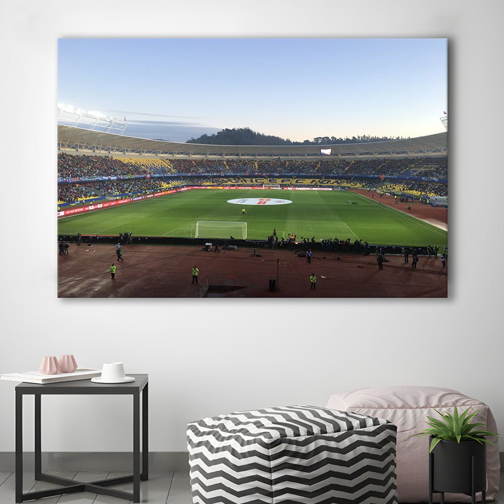 Estadio Ester Roa, Stadium Canvas, Sport Art, Gift for him, Man Cave Decor, Art Print, Canvas Print Wall Art