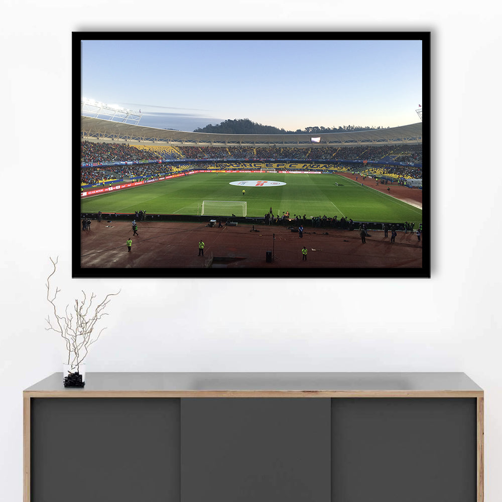 Estadio Ester Roa, Stadium Canvas, Sport Art, Gift for him, Framed Art Print Wall Decor, Picture Framed