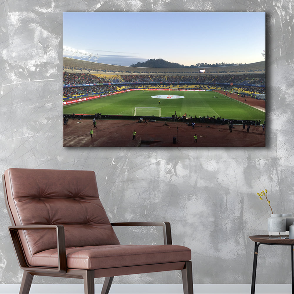 Estadio Ester Roa, Stadium Canvas, Sport Art, Gift for him, Man Cave Decor, Art Print, Canvas Print Wall Art