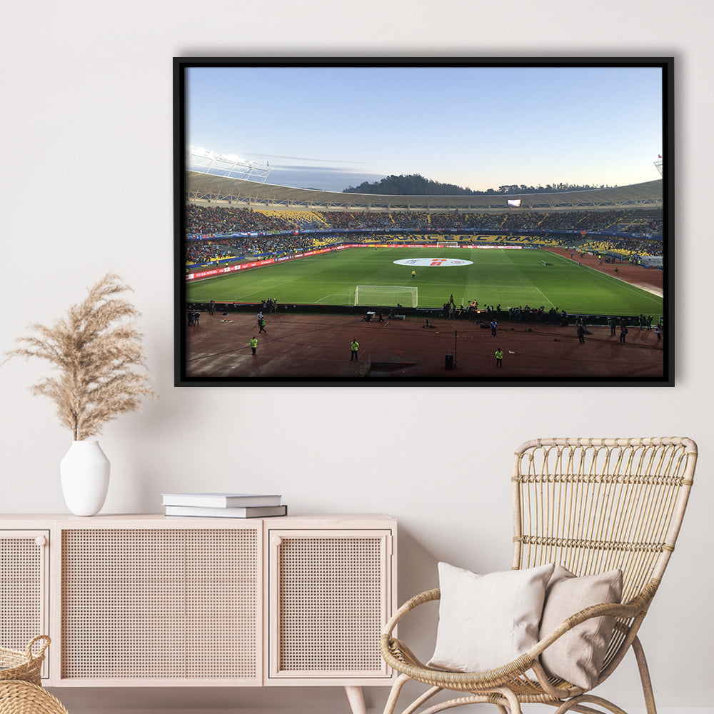 Estadio Ester Roa, Stadium Canvas, Sport Art, Framed Canvas Print Wall Art, Floating Frame