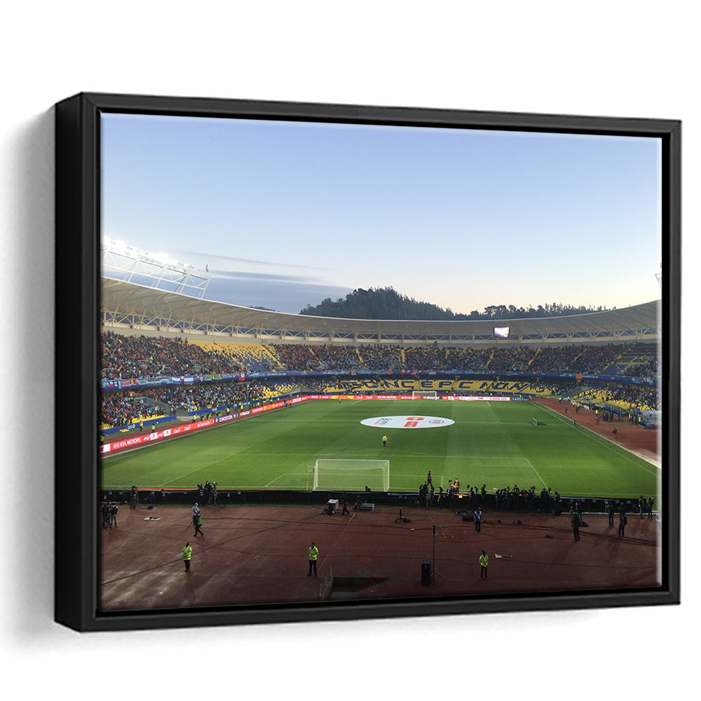 Estadio Ester Roa, Stadium Canvas, Sport Art, Framed Canvas Print Wall Art, Floating Frame
