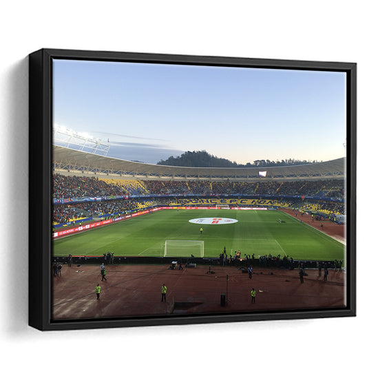 Estadio Ester Roa, Stadium Canvas, Sport Art, Framed Canvas Print Wall Art, Floating Frame