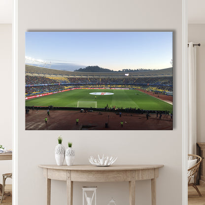 Estadio Ester Roa, Stadium Canvas, Sport Art, Gift for him, Man Cave Decor, Art Print, Canvas Print Wall Art