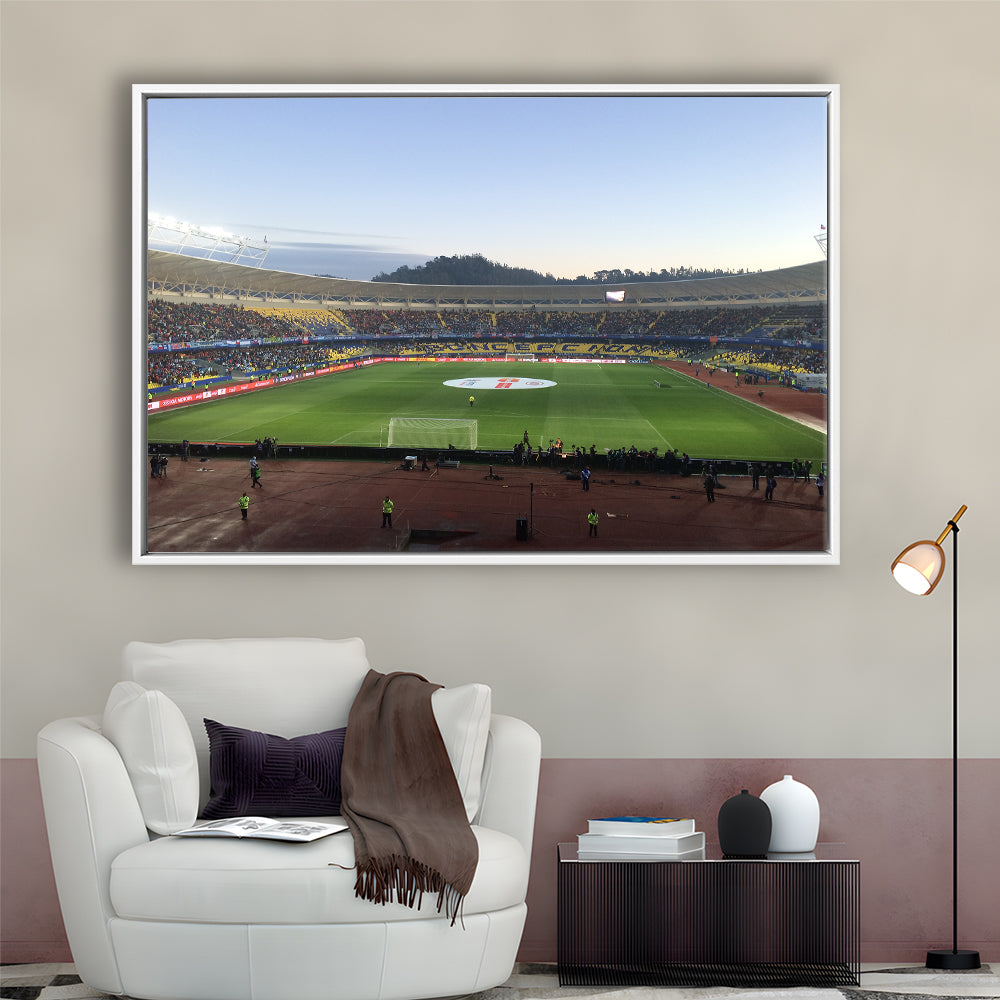 Estadio Ester Roa, Stadium Canvas, Sport Art, Framed Canvas Print Wall Art, Floating Frame