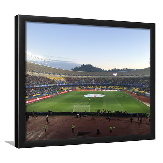 Estadio Ester Roa, Stadium Canvas, Sport Art, Gift for him, Framed Art Print Wall Decor, Picture Framed