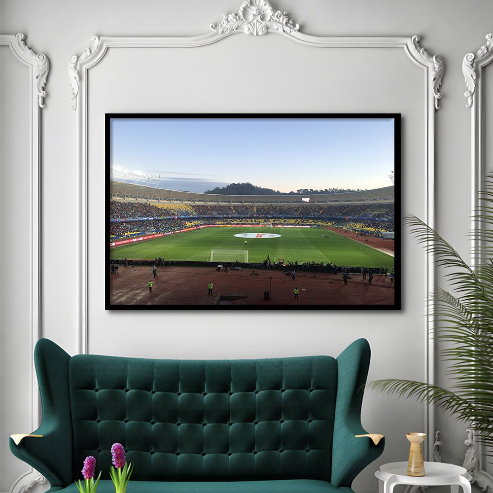 Estadio Ester Roa, Stadium Canvas, Sport Art, Gift for him, Framed Art Print Wall Decor, Picture Framed
