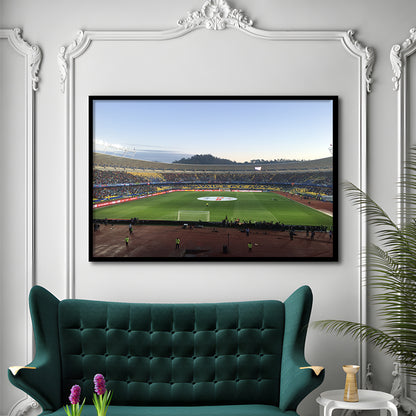 Estadio Ester Roa, Stadium Canvas, Sport Art, Gift for him, Framed Art Print Wall Decor, Picture Framed