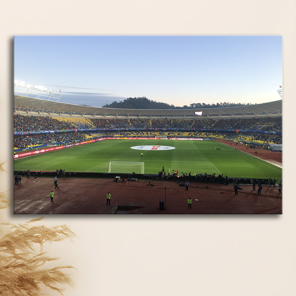 Estadio Ester Roa, Stadium Canvas, Sport Art, Gift for him, Man Cave Decor, Art Print, Canvas Print Wall Art
