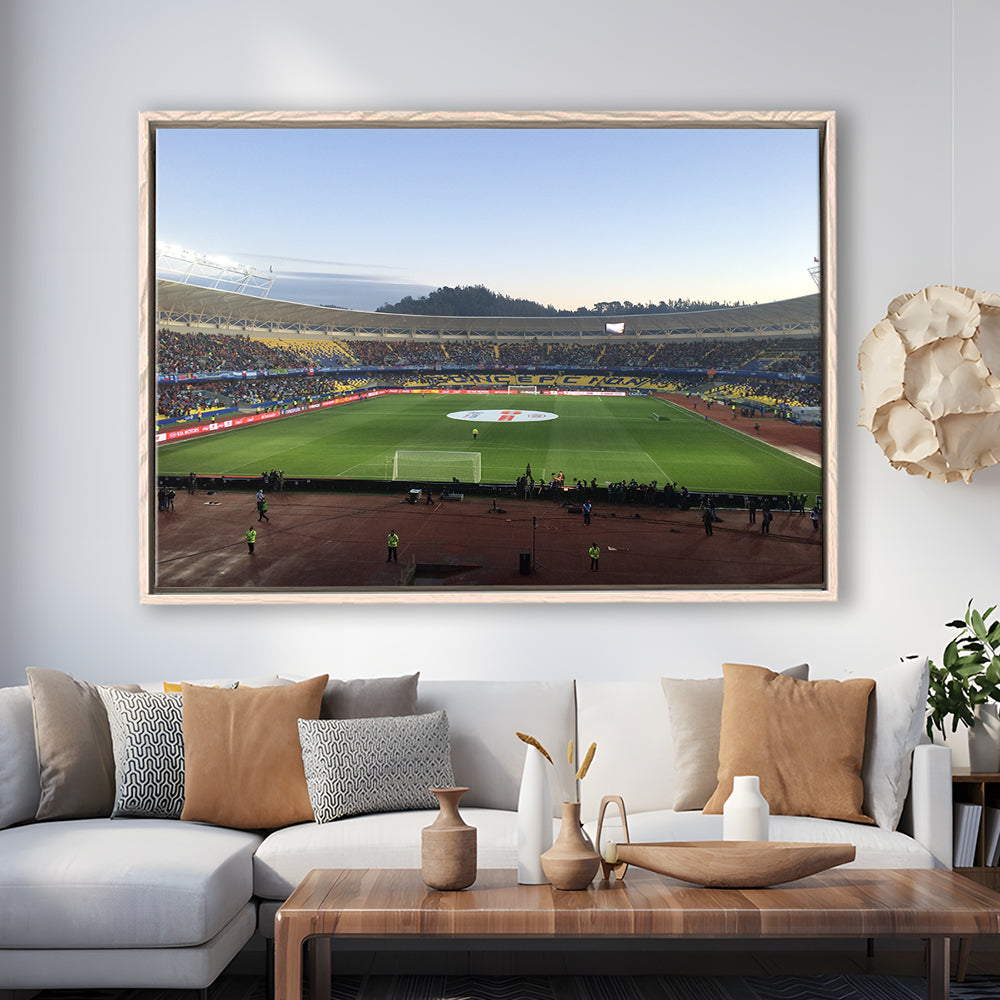 Estadio Ester Roa, Stadium Canvas, Sport Art, Framed Canvas Print Wall Art, Floating Frame