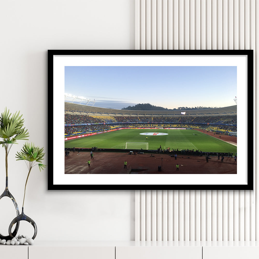 Estadio Ester Roa, Stadium Canvas, Sport Art, Gift for him, White Border Framed Art Print Wall Decor