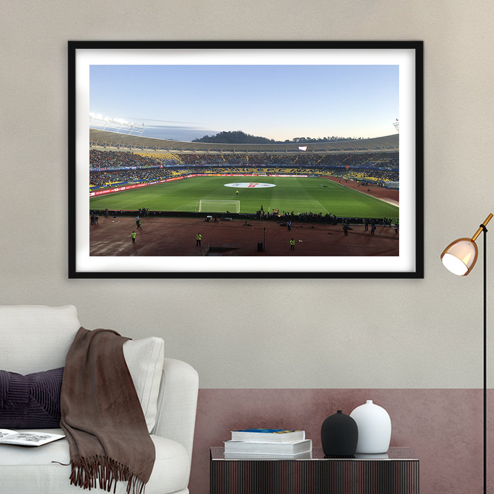 Estadio Ester Roa, Stadium Canvas, Sport Art, Gift for him, White Border Framed Art Print Wall Decor