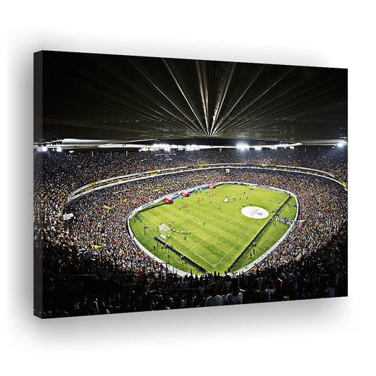 Estadio Jalisco Football Stadium, Stadium Canvas, Sport Art, Gift for him, Man Cave Decor, Art Print, Canvas Print Wall Art