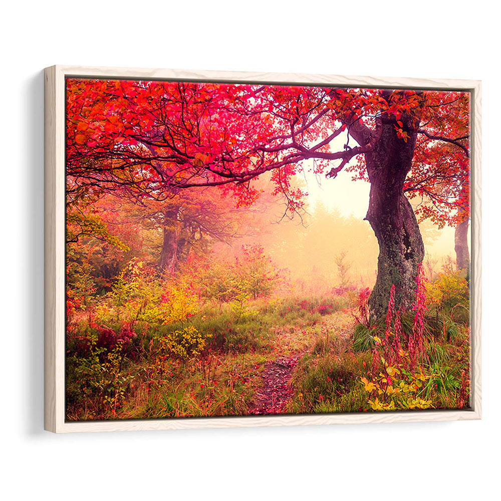 Forest Canvas Print Majestic Landscape Forest Wall Decor, Framed Canvas Print Wall Art, Floating Frame