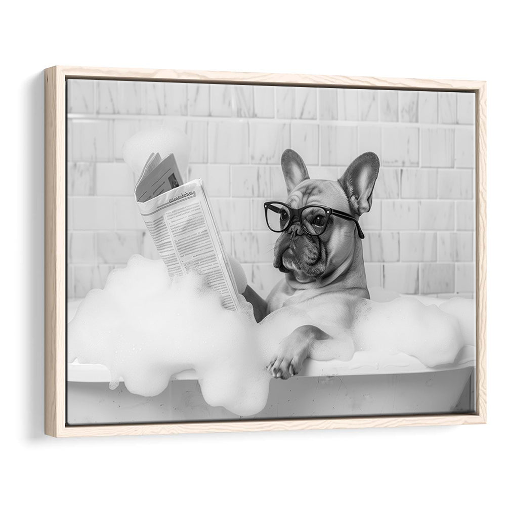 French Bulldog in Bathtub Framed Canvas Print Wall Art, Frenchie Reading Newspaper in Bubble Bath, Black and White