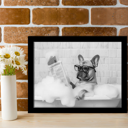 French Bulldog in Bathtub Framed Art Print Wall Decor, Frenchie Reading Newspaper in Bubble Bath, Black and White
