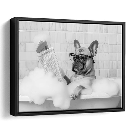French Bulldog in Bathtub Framed Canvas Print Wall Art, Frenchie Reading Newspaper in Bubble Bath, Black and White