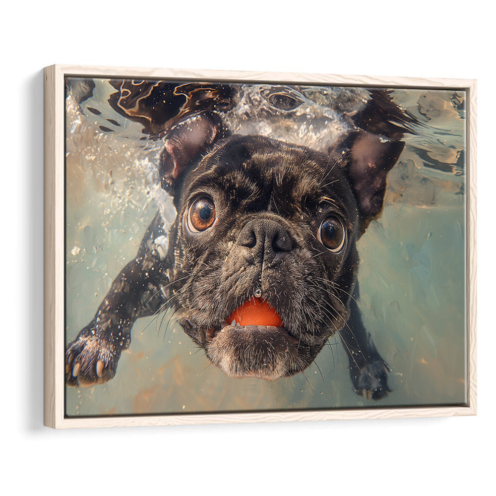 Funny Black Bulldog Underwater, Framed Canvas Print, Painting Art, Floating Framed Canvas Print Wall Art