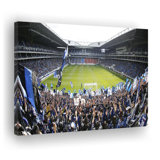 Gamba Osaka New Stadium, Stadium Canvas, Sport Art, Gift for him, Man Cave Decor, Art Print, Canvas Print Wall Art