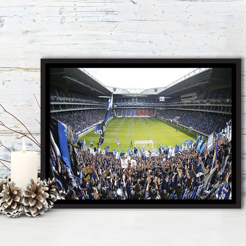 Gamba Osaka New Stadium, Stadium Canvas, Sport Art, Framed Canvas Print Wall Art, Floating Frame