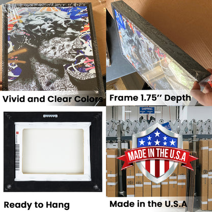 Wanda Metropolitano Stadium, Stadium Canvas, Sport Art, Fan Gifts, Framed Canvas Print Wall Art, Floating Frame