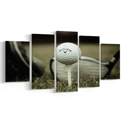 Golf Wall Art Set,Motivational Golf Ball Canvas,Sports Decor for Inspirational Wall Art, 5 Piece Large Cavas Print Wall Art