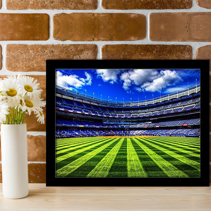 Grass Yankee Stadium, Stadium Canvas, Sport Art, Gift for him, Framed Art Print Wall Decor, Picture Framed