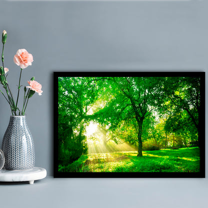 Green Forest Background With Morning Sunrise In Spring Season, Framed Art Print, Picture Framed