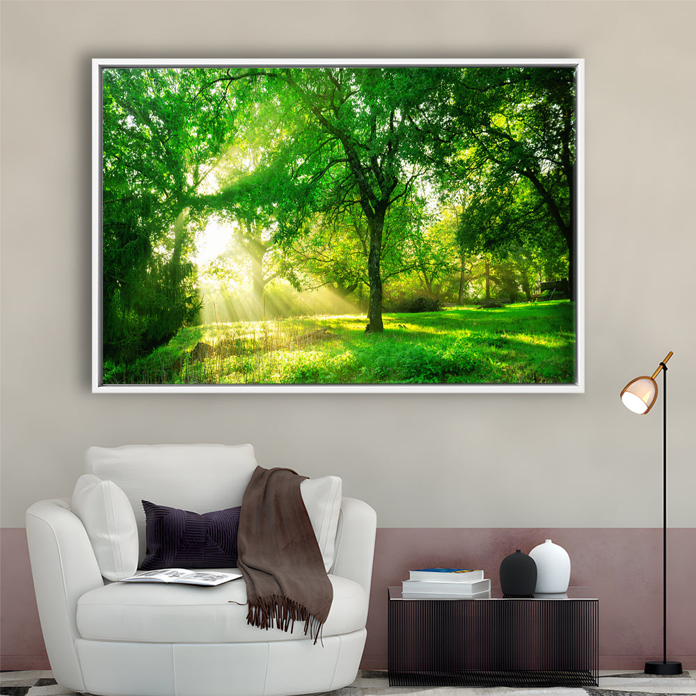 Green Forest Background With Morning Sunrise In Spring Season, Framed Cavas Print, Floating Frame