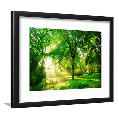 Green Forest Background With Morning Sunrise In Spring Season, Framed Art Print White Border