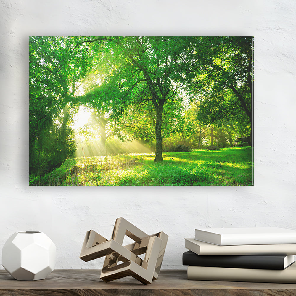 Green forest background with morning sunrise in spring season, Cavas Print Wall Art Hom Decor