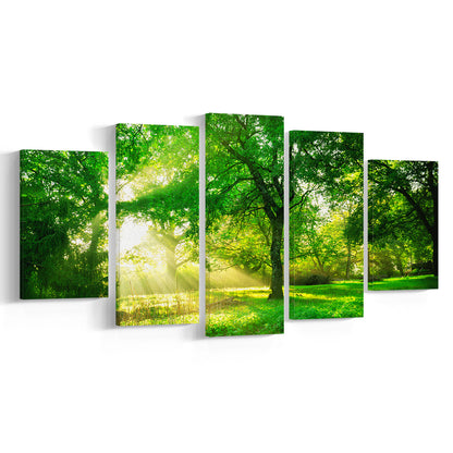 Green forest background with morning sunrise in spring season, 5 Piece Large Cavas Print Wall Art
