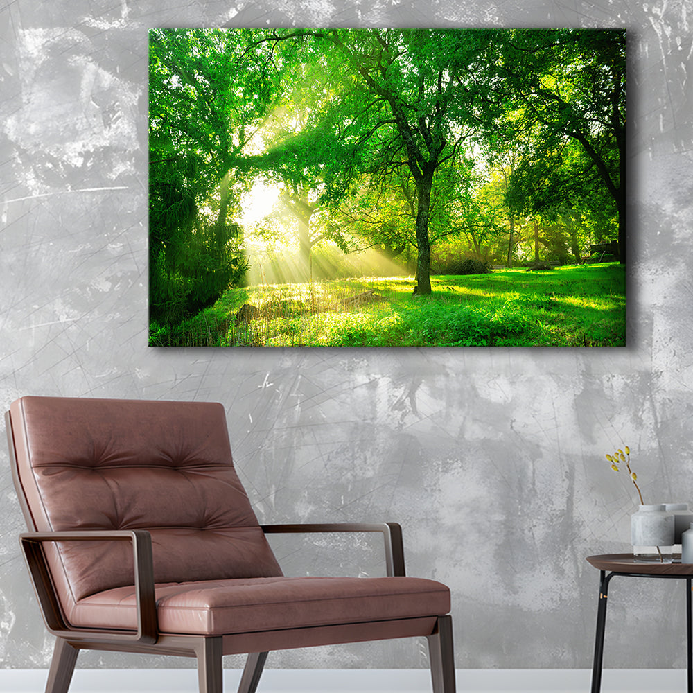 Green forest background with morning sunrise in spring season, Cavas Print Wall Art Hom Decor