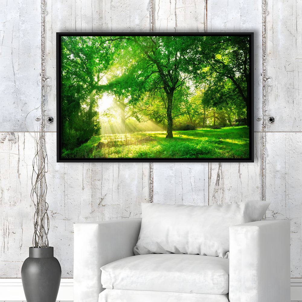 Green Forest Background With Morning Sunrise In Spring Season, Framed Cavas Print, Floating Frame
