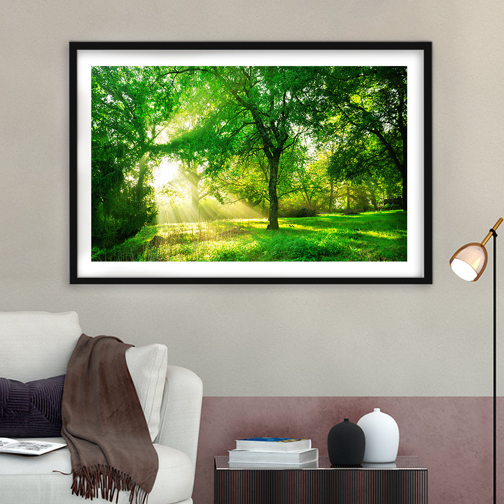 Green Forest Background With Morning Sunrise In Spring Season, Framed Art Print White Border