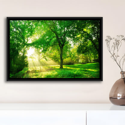 Green Forest Background With Morning Sunrise In Spring Season, Framed Cavas Print, Floating Frame