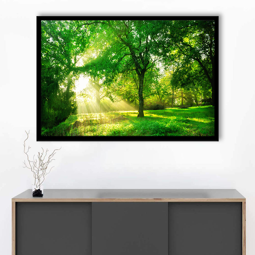 Green Forest Background With Morning Sunrise In Spring Season, Framed Art Print, Picture Framed