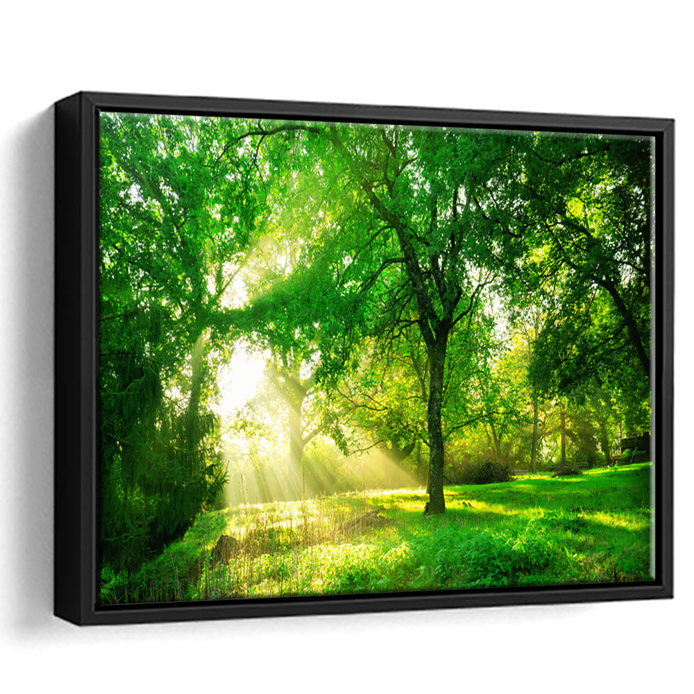Green Forest Background With Morning Sunrise In Spring Season, Framed Cavas Print, Floating Frame