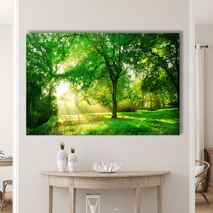 Green forest background with morning sunrise in spring season, Cavas Print Wall Art Hom Decor