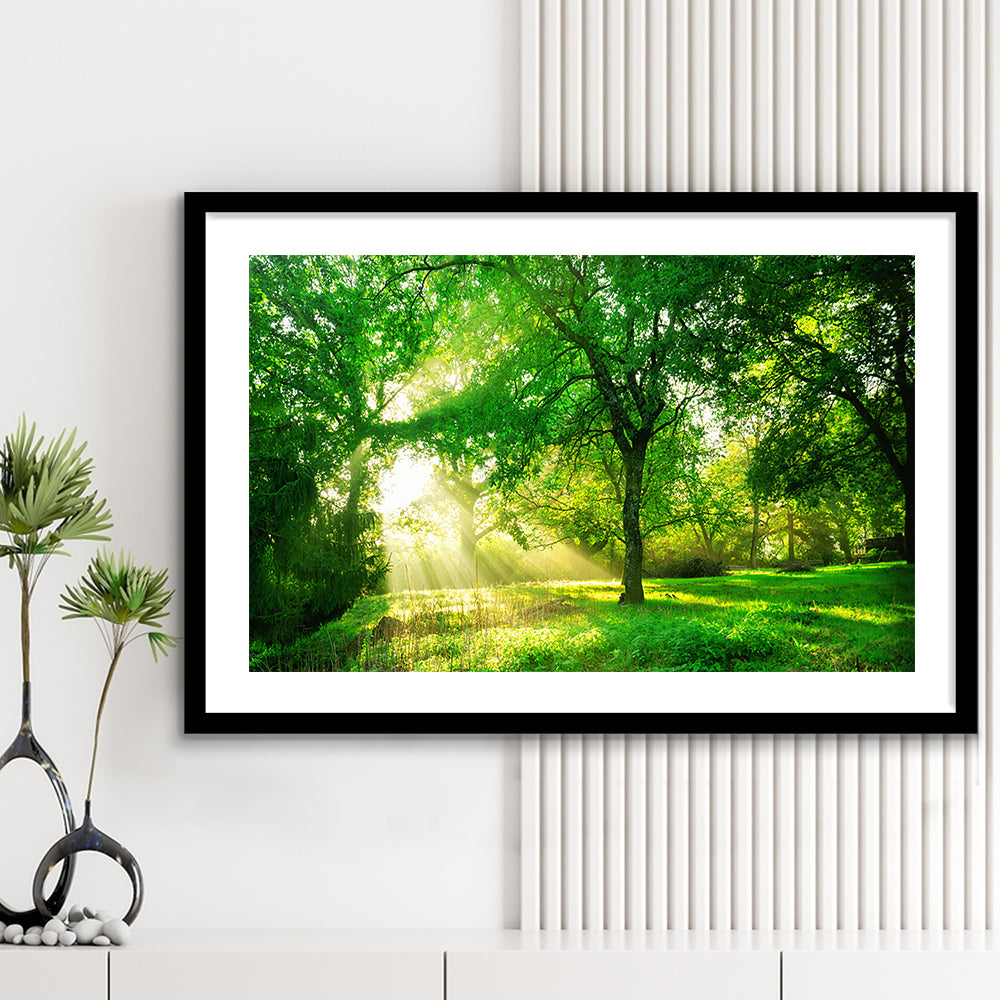 Green Forest Background With Morning Sunrise In Spring Season, Framed Art Print White Border