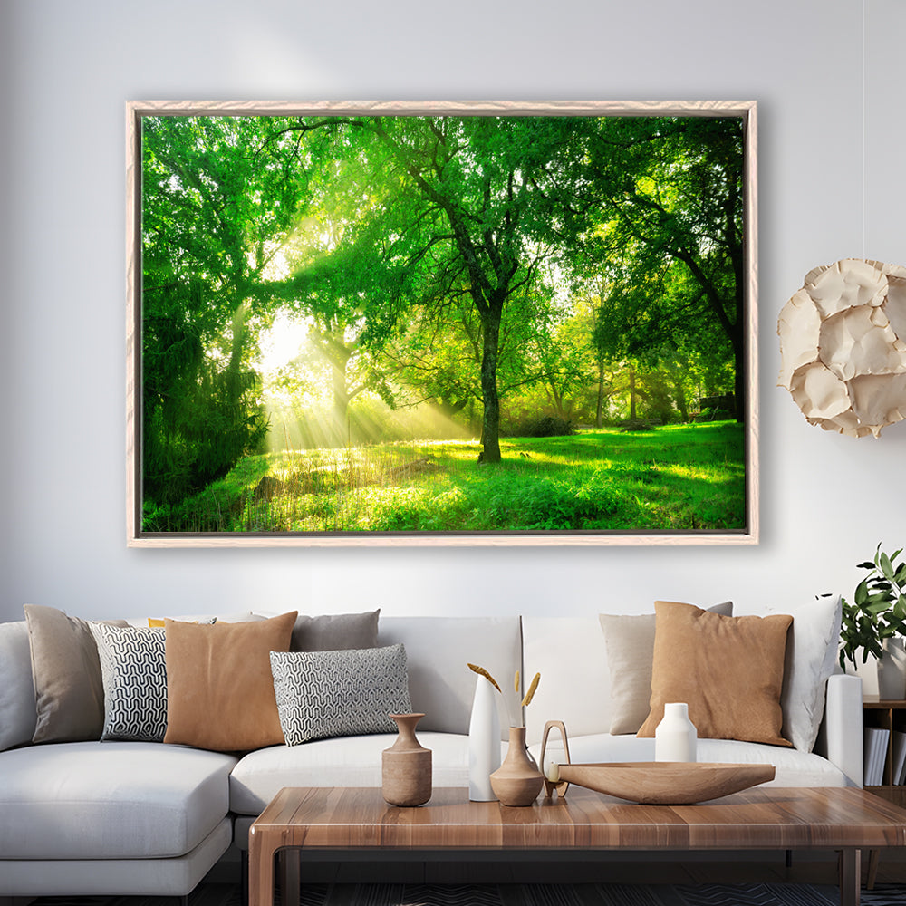 Green Forest Background With Morning Sunrise In Spring Season, Framed Cavas Print, Floating Frame