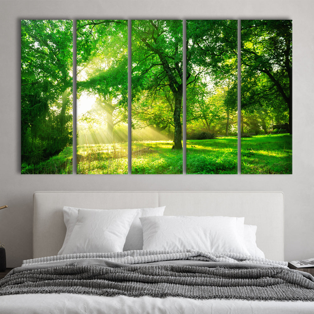 Green forest background with morning sunrise in spring season, 5 Piece B Extra Large Cavas Print Wall Art Decor