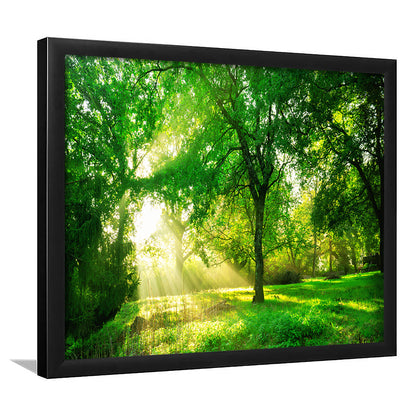 Green Forest Background With Morning Sunrise In Spring Season, Framed Art Print, Picture Framed