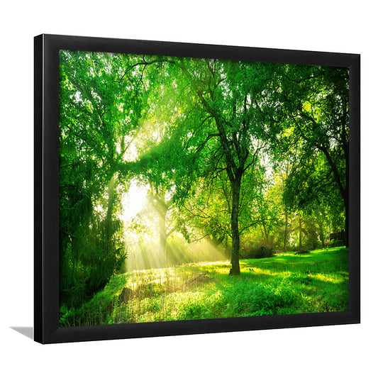 Green Forest Background With Morning Sunrise In Spring Season, Framed Art Print, Picture Framed